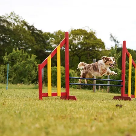 Prázdninový dům Hof Koehne - Forsthaus 3er Schmallenberg