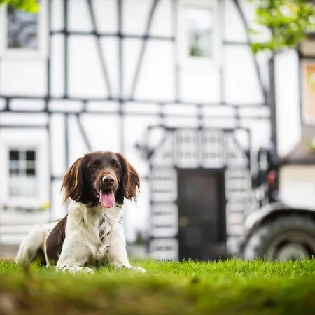 Prázdninový dům Hof Koehne - Forsthaus 3er *