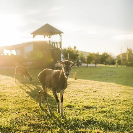 Hof Koehne - Forsthaus 3er Schmallenberg