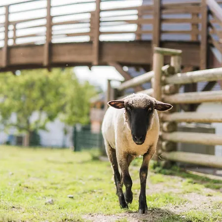 Сasa de vacaciones Hof Koehne - Forsthaus 3er Schmallenberg