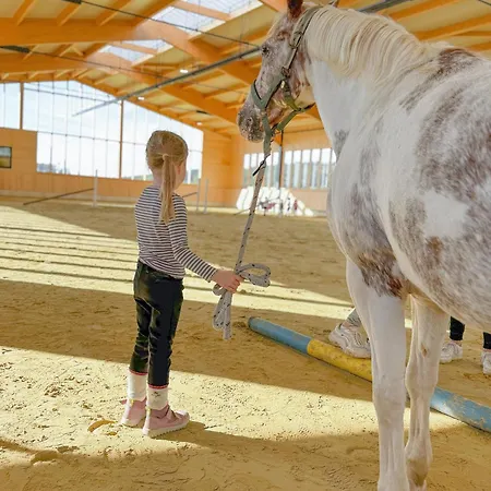 Hof Koehne - Forsthaus 3er Prázdninový dům Schmallenberg