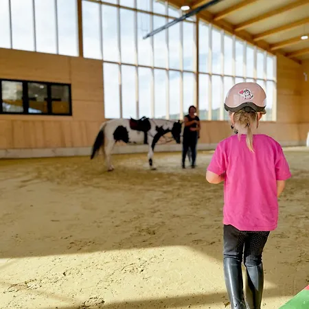 Hof Koehne - Forsthaus 3er Prázdninový dům Schmallenberg