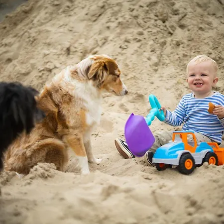 Hof Koehne - Forsthaus 3er