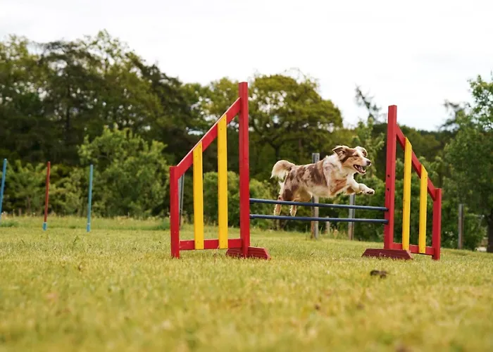 Сasa de vacaciones Hof Koehne - Forsthaus 3er Schmallenberg