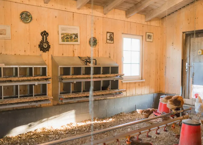 Сasa de vacaciones Hof Koehne - Forsthaus 3er Schmallenberg