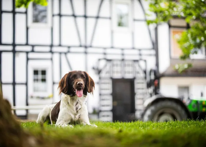 Сasa de vacaciones Hof Koehne - Forsthaus 3er *