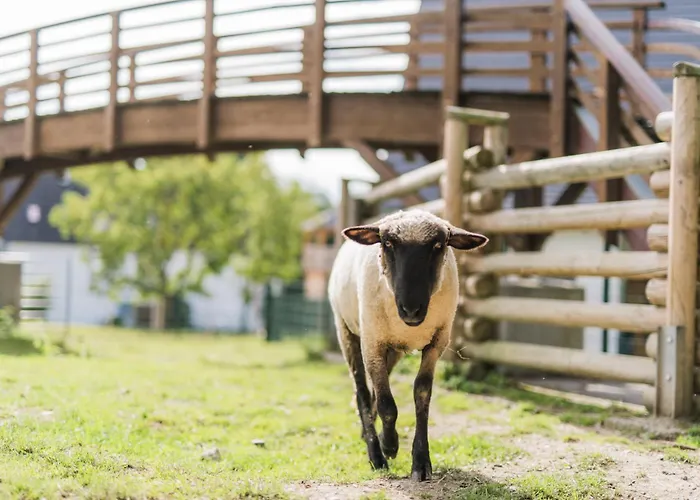 Сasa de vacaciones Hof Koehne - Forsthaus 3er Schmallenberg